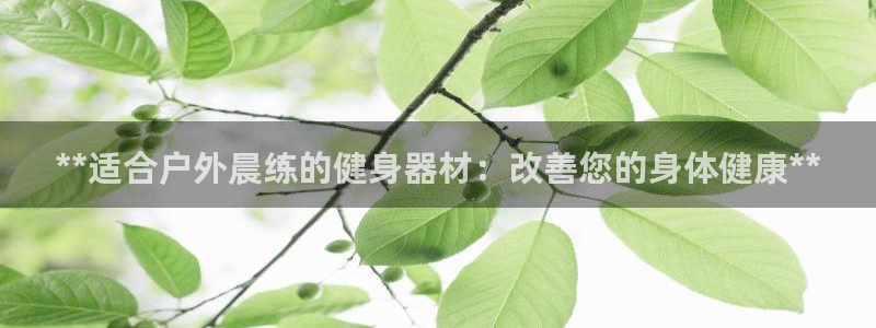 注册意昂3：**适合户外晨练的健身器材：改善您的身体