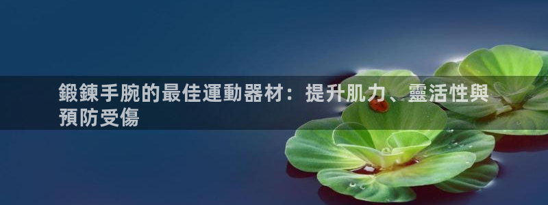 意昂3娱乐40996：鍛鍊手腕的最佳運動器材：提升肌力、靈活
