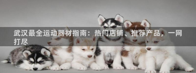 意昂3官网：武汉最全运动器材指南：热门店铺、推荐产品