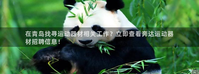 意昂体育3是干嘛的公司：在青岛找寻运动器材相关工作？立即查看