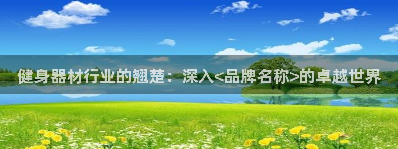 意昂体育3平台注册流程视频：健身器材行业的翘楚：深入
