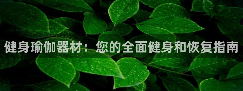 意昂3娱乐是那个系列的台子：健身瑜伽器材：您的全面健