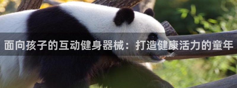 海南意昂体育3：面向孩子的互动健身器械：打造健康活力