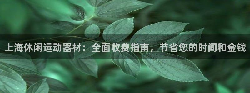 意昂体育3招商电话号码查询：上海休闲运动器材：全面收费指南，