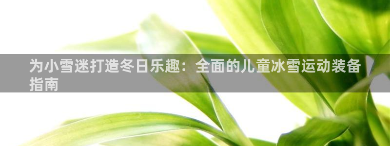 意昂体育3平台是正规平台吗：为小雪迷打造冬日乐趣：全面的儿童