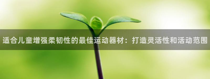 意昂3新能源：适合儿童增强柔韧性的最佳运动器材：打造灵活性和