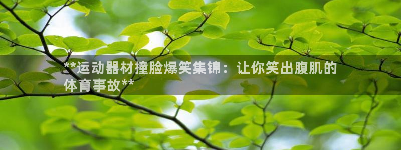意昂3集团：**运动器材撞脸爆笑集锦：让你笑出腹肌的
体育事