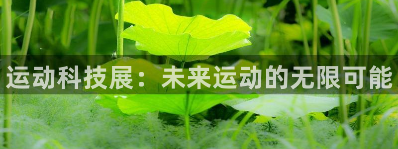 意昂体育3开户