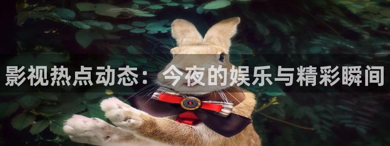 战地影院在线观看完整版免费：影视热点动态：今夜的娱乐与精彩瞬间