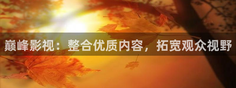 战地5电影：巅峰影视：整合优质内容，拓宽观众视野