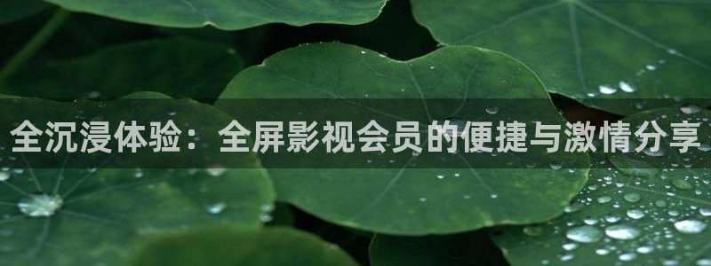 战地影院1080：全沉浸体验：全屏影视会员的便捷与激情分享