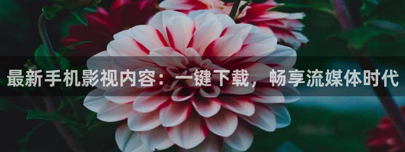战地影视网：最新手机影视内容：一键下载，畅享流媒体时代