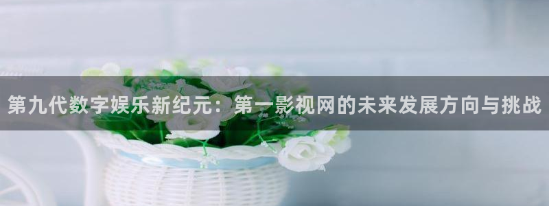 战地游戏下载：第九代数字娱乐新纪元：第一影视网的未来发展方向与挑战