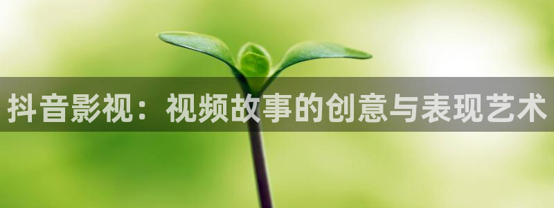 战地影院1080p高清电影：抖音影视：视频故事的创意与表现艺术
