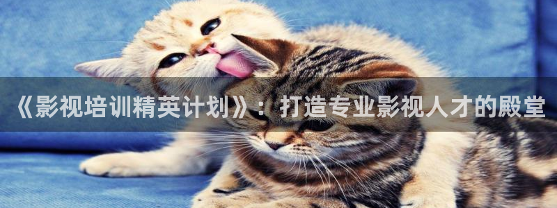 年轻的姐夫战地影院：《影视培训精英计划》：打造专业影视人才的殿堂