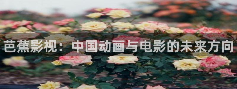 战地影院免费观看：芭蕉影视：中国动画与电影的未来方向