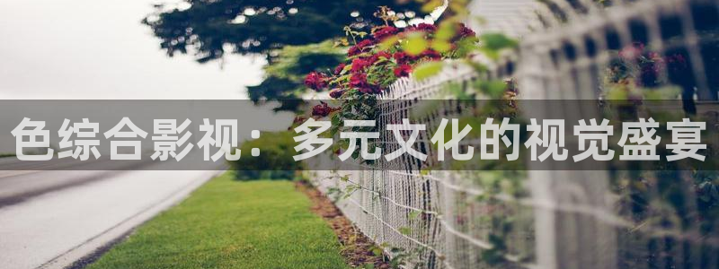 战地战地：色综合影视：多元文化的视觉盛宴