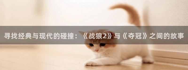 战地影院网：寻找经典与现代的碰撞：《战狼2》与《夺冠》之间的故事
