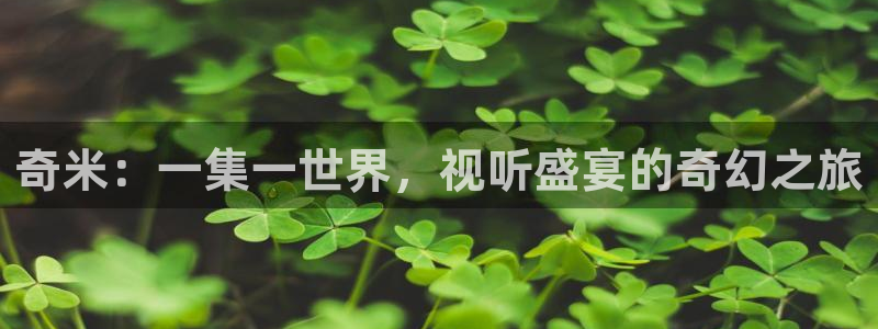 战地影视网：奇米：一集一世界，视听盛宴的奇幻之旅