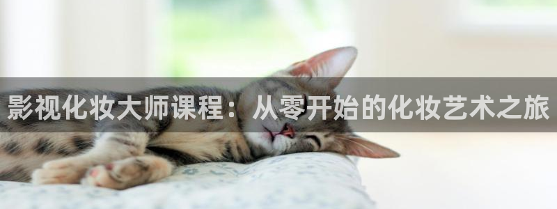 战地电影免费观看完整版：影视化妆大师课程：从零开始的化妆艺术之旅